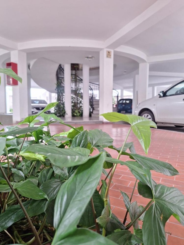 Apartment Chunin Depart image 9